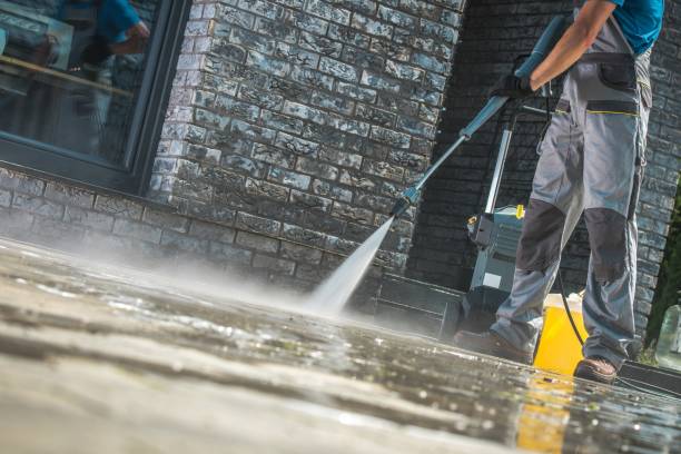 Best Soft Washing  in Collinsville, AL